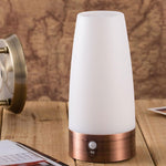 Motional Sensor LED Night Light Portable Bedside Lamp