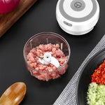 Mini Garlic Crusher Portable Chopper USB Charging